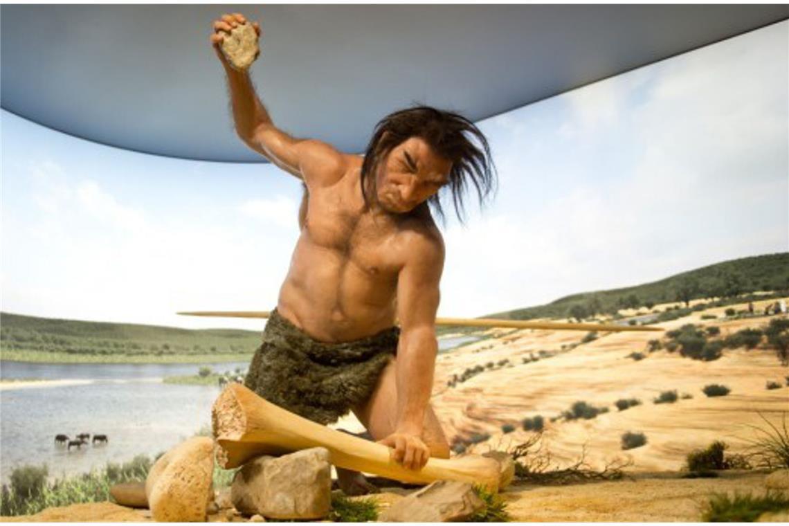 Der Homo heidelbergensis erlebte Warmzeiten, wie hier im Staatlichen Museum für Naturkunde Stuttgart dargestellt, aber auch kältere Phasen, in denen große Teile Europas vergletschert waren.