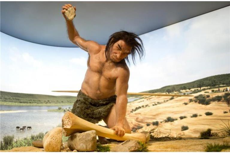 Der Homo heidelbergensis erlebte Warmzeiten, wie hier im Staatlichen Museum für Naturkunde Stuttgart dargestellt, aber auch kältere Phasen, in denen große Teile Europas vergletschert waren.