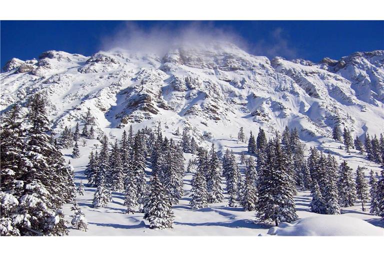 Der Iseler ist ein 1876 Meter hoher Nebengipfel des Kühgundkopfs in den Allgäuer Alpen.