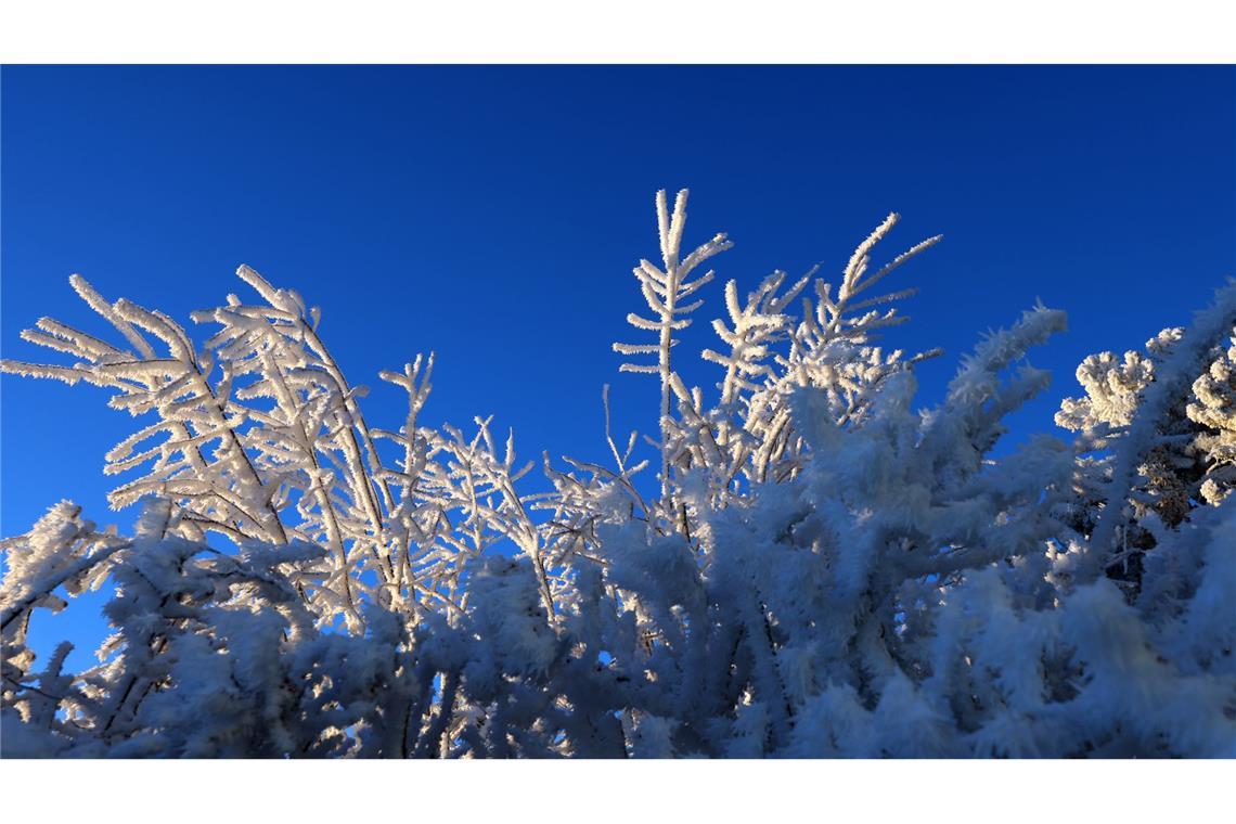 Der Junge hatte sich im Schnee versteckt. (Symbolbild)