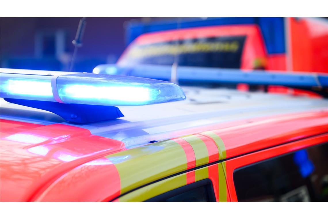 Auto prallt  gegen Baum  –  Baby und 13-jähriger Junge sterben