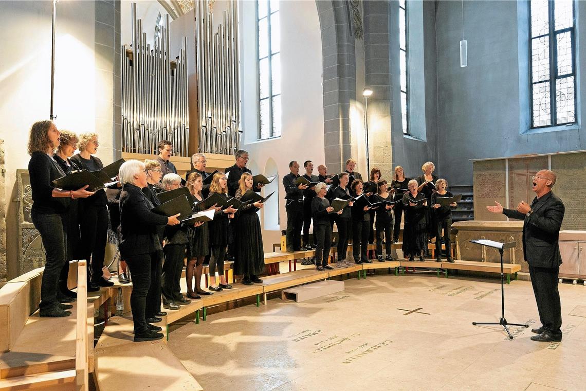 Der Kammerchor bereichert das kirchenmusikalische Leben der Stadt, die Mitglieder kommen aus der ganzen Region – hier sind sie bei einer Aufführung im Juli in der Stadtkirche mit Kantor Gottfried Mayer (rechts) vor der neuen Orgel zu sehen. Archivfoto: J. Fiedler