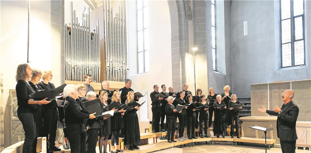 Der Kammerchor bildete die zweite Dimension des Konzerts, das sich rund um Kompositionen von „Te Deum“, einem Lob-, Dank- und Bittgesang, rankte. Fotos: J. Fiedler