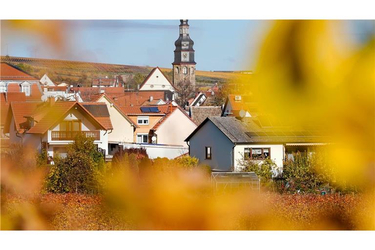 Der kleine Winzerort Kallstadt an der Weinstraße ist der Heimatort von Trumps Vorfahren. (Archivbild)