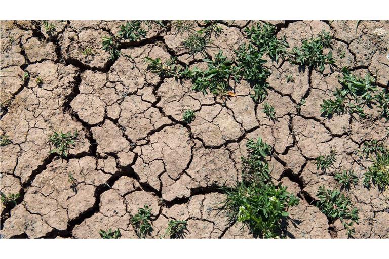 Der Klimawandel zeigt sich in Europa immer deutlicher (Symbolfoto).