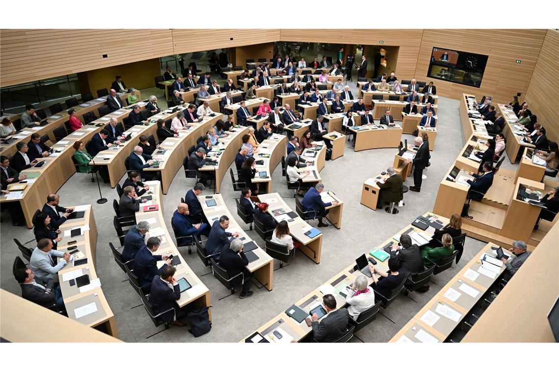 XXL-Landtag? Grünen-Fraktionschef wäre zu Oberdeckel bereit Der Landtag könnte mit dem neuen Wahlrecht anwachsen. (Archivbild)