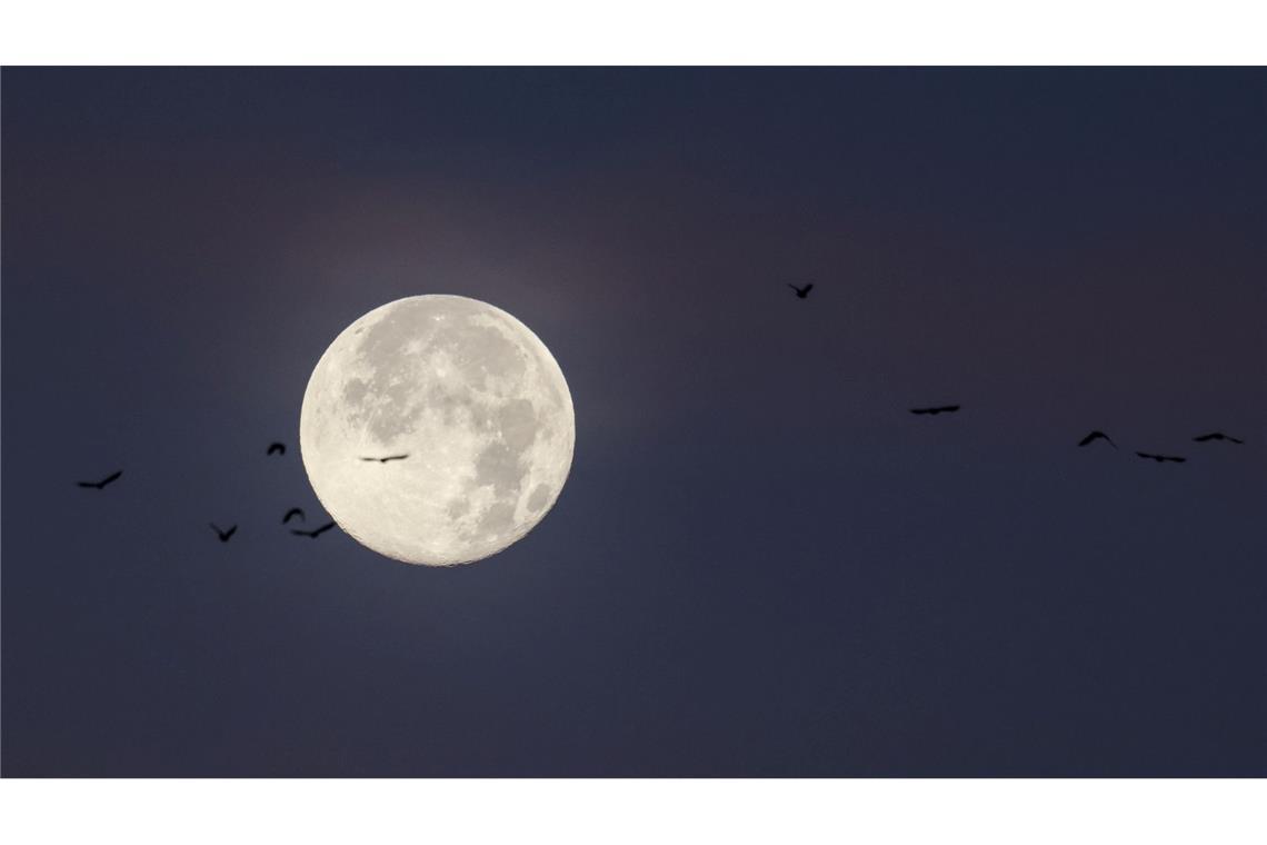 Der letzte Vollmond des Jahres wird auch "Cold Moon" oder "Julmond" genannt. (Archivbild)