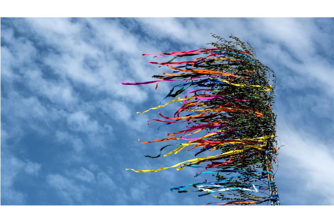 Maibaum stürzt in Menschenmenge: Fünf Verletzte Der Maibaum stürzte in eine Menschenmenge. (Symbolbild)