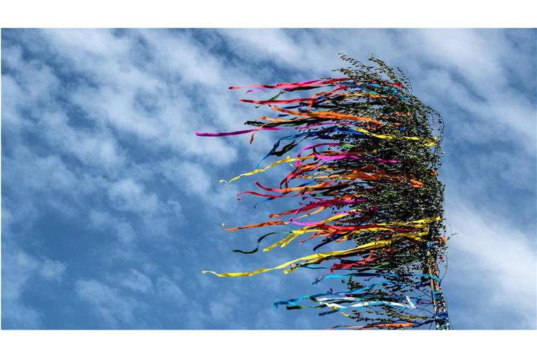 Der Maibaum stürzte in eine Menschenmenge. (Symbolbild)