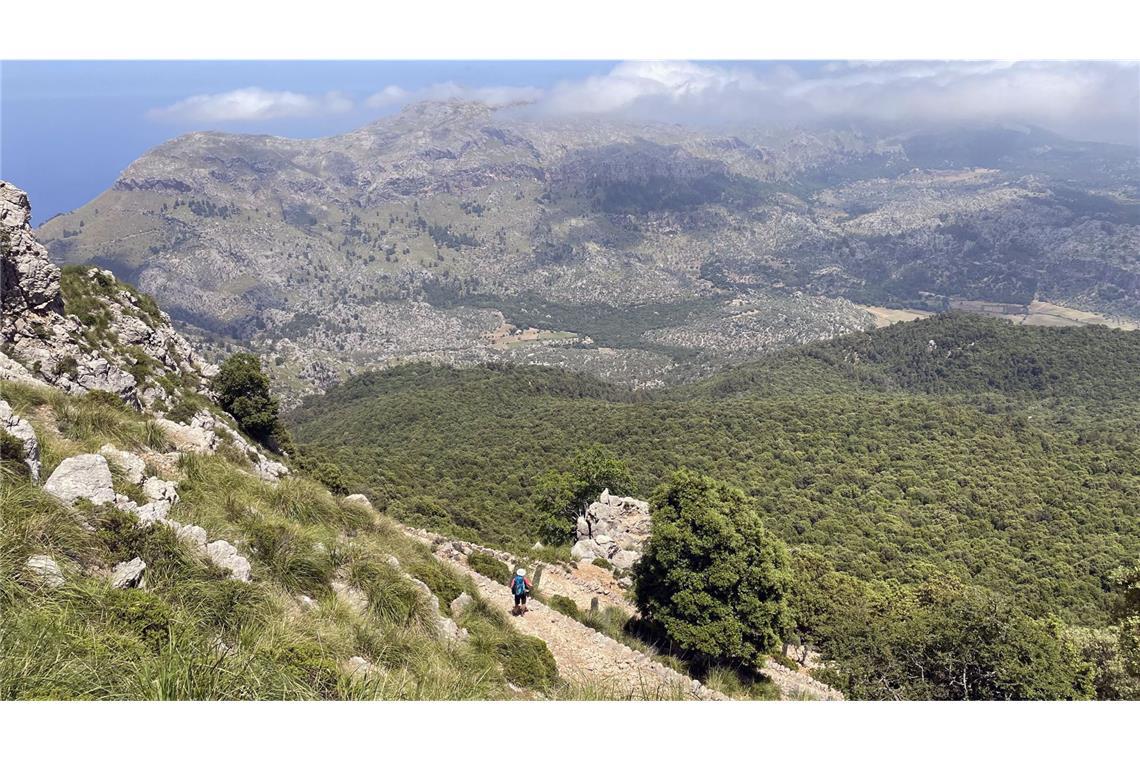 Der Mann stürzte bei einer Wanderung in den Tod. (Symbolbild)