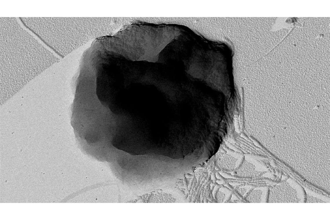 Der Mikroorganismus Methanothermococcus okinawensis