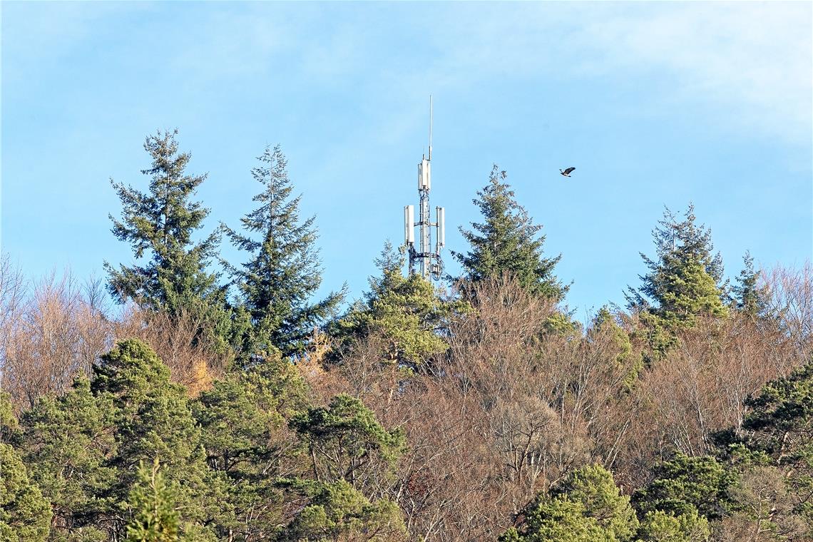 Der Mobilfunkmast am Linderst in Murrhardt ist von der Stadt aus zu sehen und steht dort schon lange. In Kirchenkirnberg soll nun am Waldrand ein neuer Mast errichtet werden. Anwohner wünschen sich aber, dass er noch stärker vom Ort in den Wald hinein abgerückt wird. Archivfoto: Jörg Fiedler