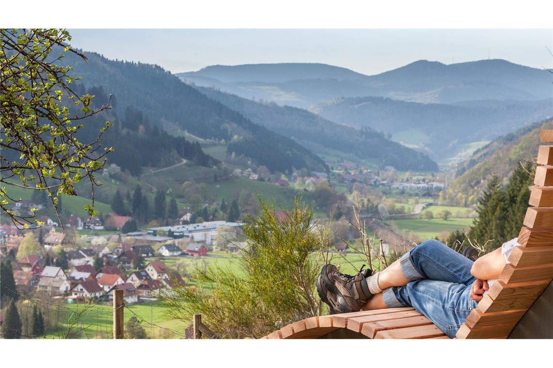 Nationalpark-Vergrößerung – Verkauf der Landesanteile Der Nationalpark Schwarzwald soll erweitert werden. (Symbolbild)