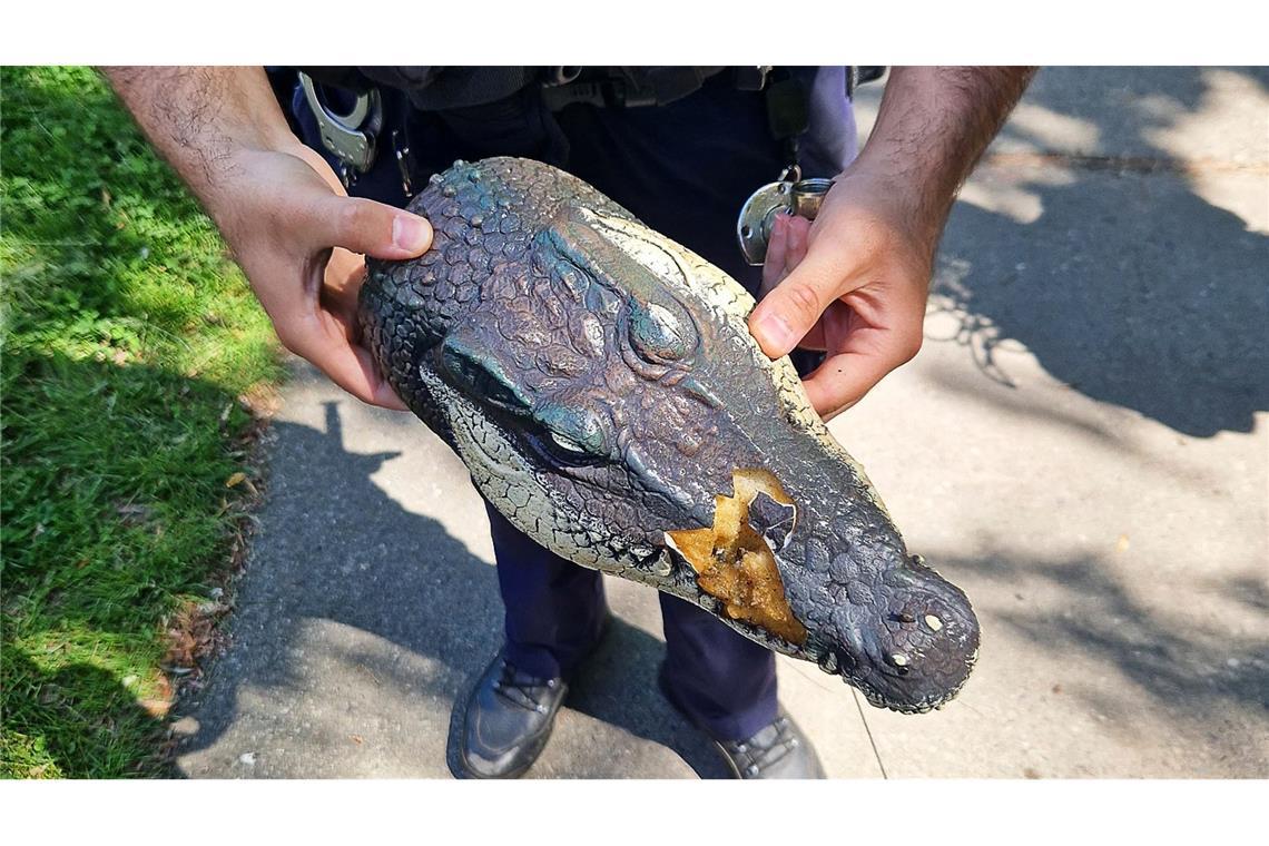 Falscher Alligator sorgt für Aufsehen an Berliner Teich Der natürliche Lebensraum von Alligatoren liegt unter anderem im Südosten der USA.