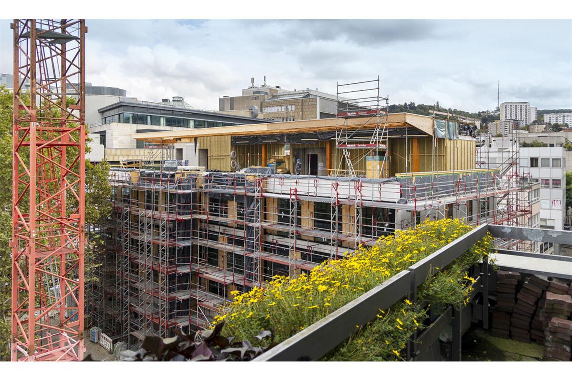 Nächste Spritze für Tourismus-Tempel Der neue Tourismus-Tempel am Marktplatz erhält eine Holzfassade. Eröffnet werden könnte bis Mai 2025.