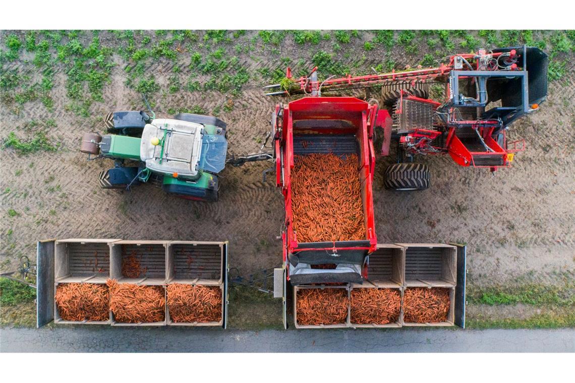 Der Öko-Anteil an der Agrarfläche wächst nur sehr langsam. (Archivbild)