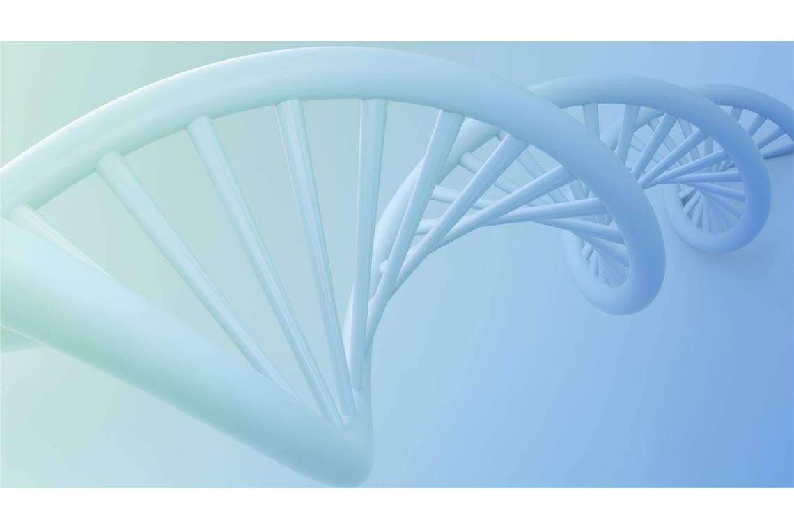 Francis Crick und James Watson veröffentlichen ihre Studie zur DNA-Doppelhelix Der Physiker und Molekularbiologe Crick und der Molekularbiologe Watson finden heraus, dass die Struktur der DNA einer Wendeltreppe oder spiralförmig gedrehten Strickleiter ähnelt, deren Sprossen jeweils aus zwei Bausteinen bestehen.