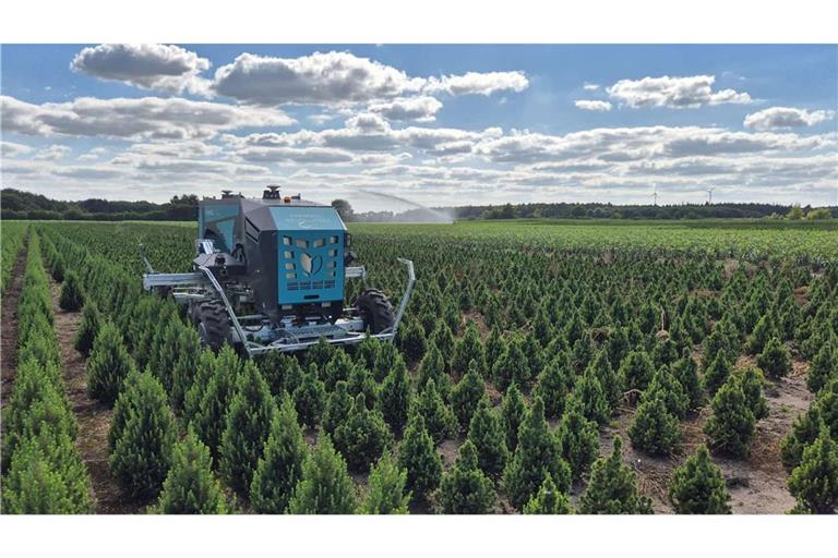 Der Roboter jätet Unkraut zwischen den Bäumchen – preiswürdig.