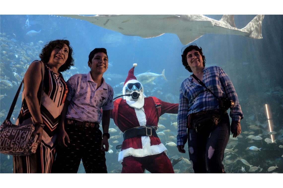 Bilder des Tages Der Sägerochen im Aquarium von Veracruz hat den Taucher Claudio Padron mit seinem Weihnachtsmannkostüm fest im Blick.