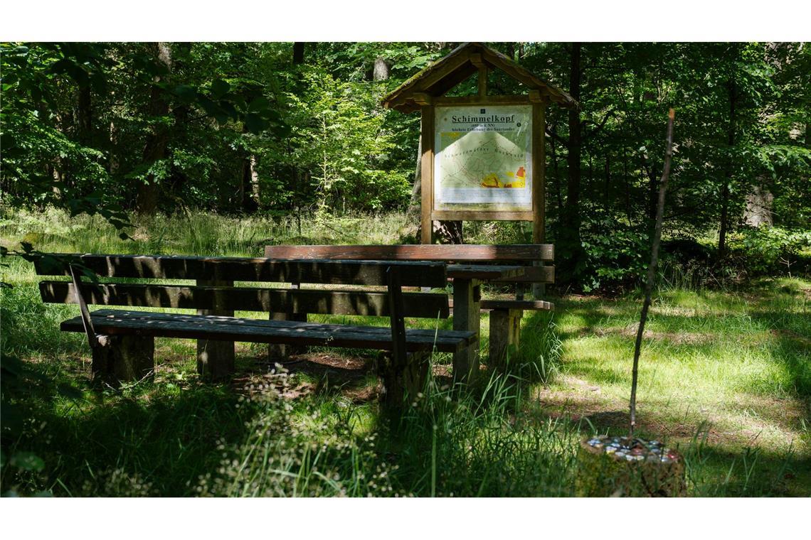 Der Schimmelkopf ist 694,8 Meter hoch, der Dollberg bei Nohfelden aber 695,4 Meter. Sechzig Zentimeter höher.