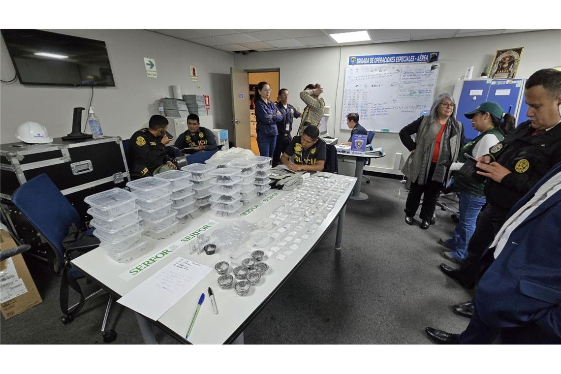320 Spinnen unter dem Pulli: Schmuggler in Peru festgenommen Der Schmuggler wurde am Flughafen von Lima ertappt.