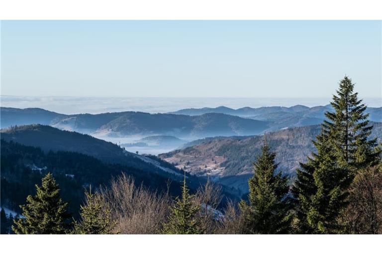 Der Schwarzwald im Morgenlicht, vom Feldberg aus gesehen: Adieu, du schönes Idyll?