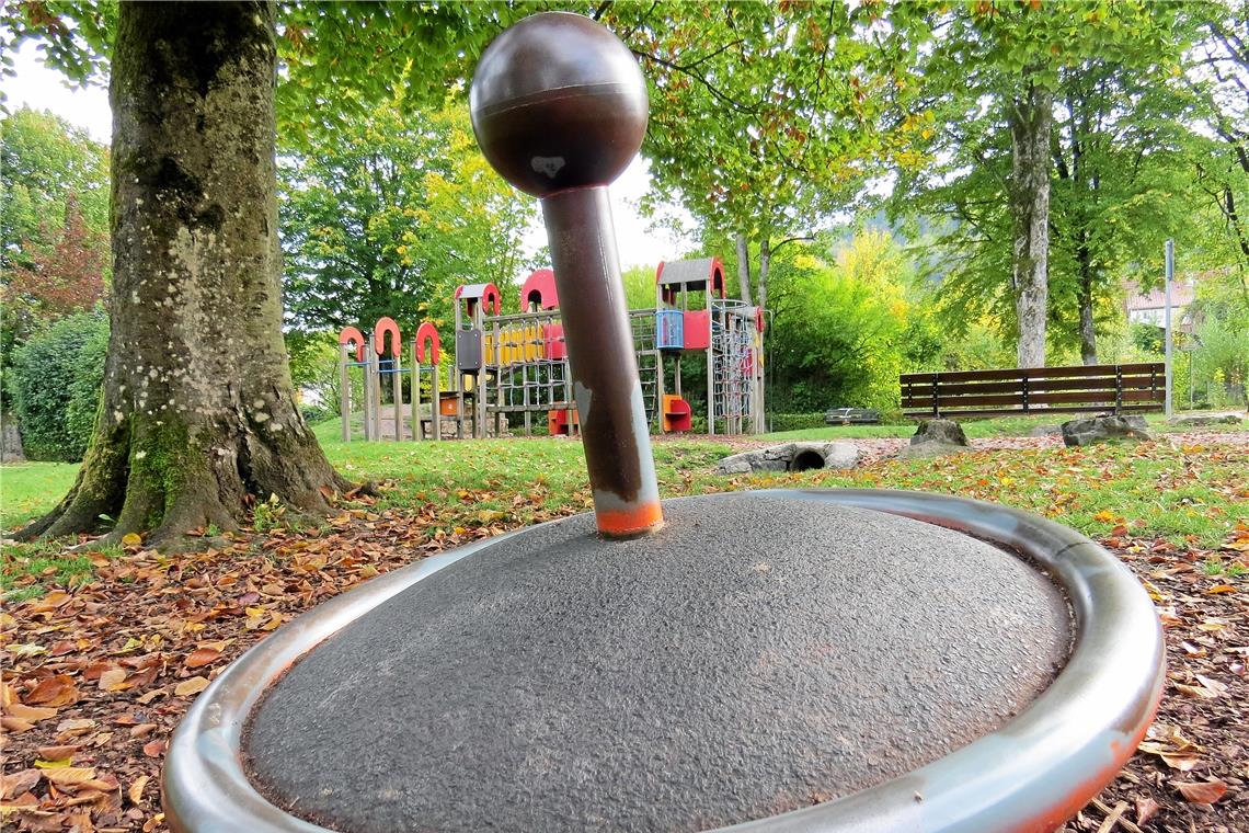 Vorschläge von Kindern willkommen Der Spielplatz am Feuersee liegt mitten im Stadtgarten. Da die Anlage mittlerweile 30 Jahre alt ist, soll sie erneuert werden. Foto: C. Schick