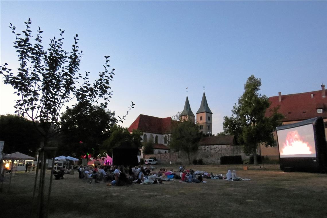 Gelungener Start fürs Sommernachtskino