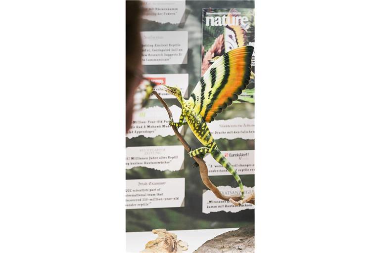 Der Star der Ausstellung: der Wundersaurier