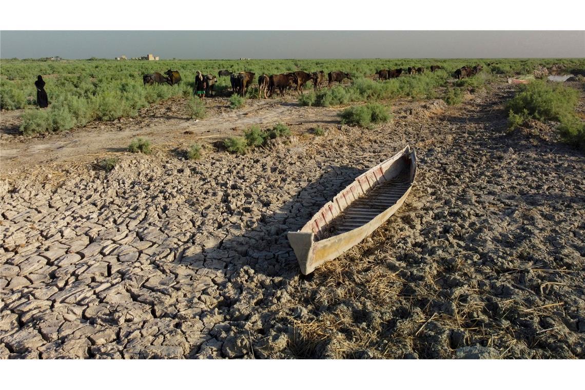 Der südliche Irak könnte wegen Wasserknappheit bald unbewohnbar werden.