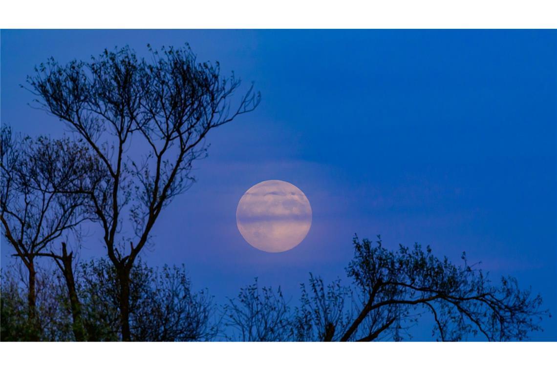 Der Supermond über Brandenburg