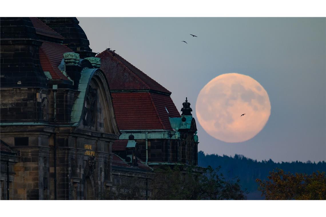 Der Supermond über Dresden