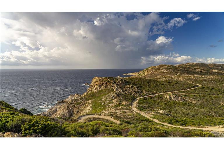 Der Tote wurde in einem Waldgebiet auf Korsika gefunden. (Archivbild)