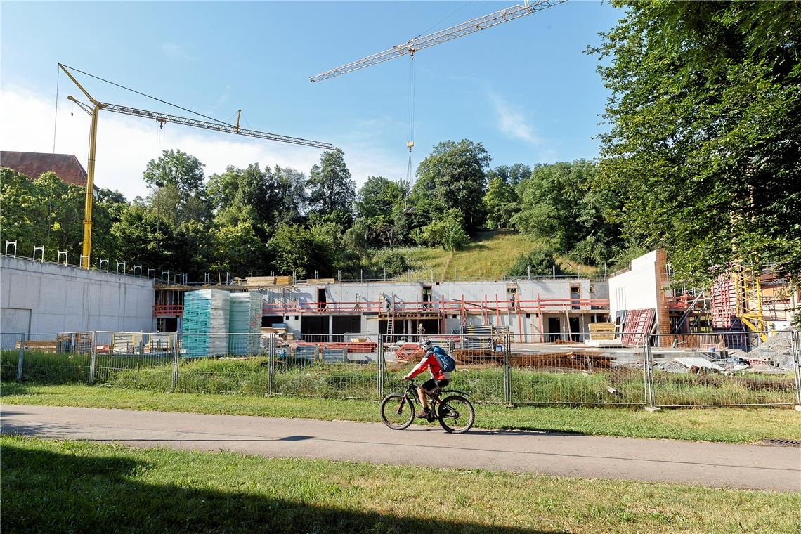 Planbarkeit ist seit Langem passé Der Turnhallenbau lässt sich über das ganze Jahr im Stadtgarten verfolgen. Foto: Jörg Fiedler