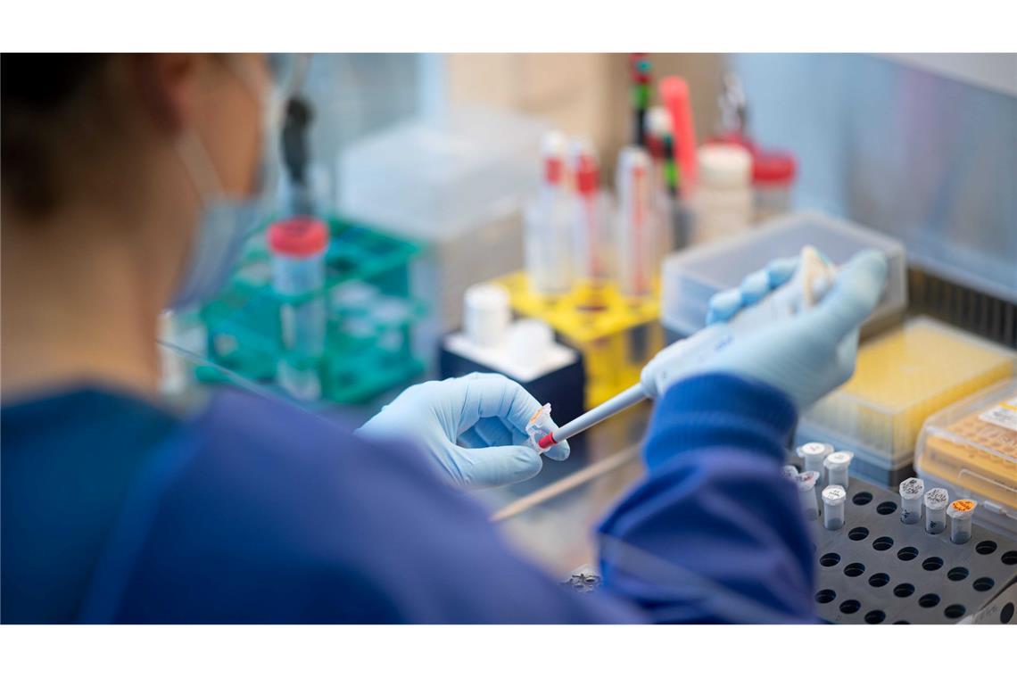 WHO-Rat: China mauert - Ursprung des Coronavirus unklar Der Ursprung des Virus Sars-CoV-2 bleibt unklar. (Symbolbild)