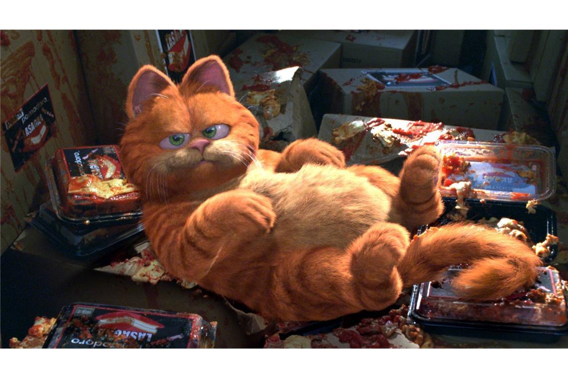 Warum Katzen eine rote Fellfarbe haben Der US-Comiczeichner Jim Davis erschuf 1978 Garfield, der sich seitdem in Bildergeschichten, TV-Animationsserien und Kinofilmen träge und übel gelaunt durch das herrlichste Katzenleben futtert.