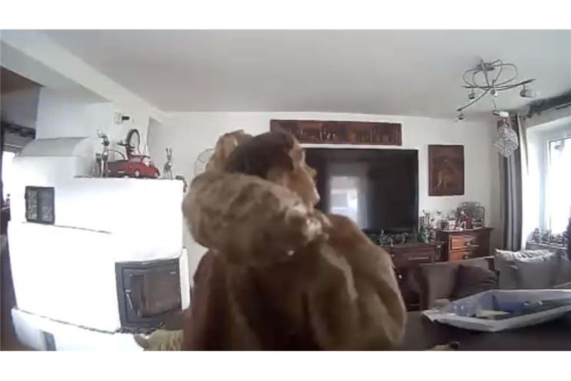 Der vermeintliche Einbrecher entpuppte sich als eine Hirtenfigur.