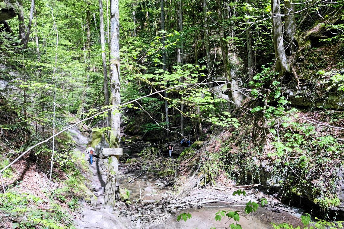 Gesperrter Naturpfad bleibt Magnet Der verwunschene Weg durch die Schlucht von den hinteren zu den vorderen Wasserfällen ist derzeit gesperrt. Fotos: privat