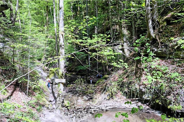 Der verwunschene Weg durch die Schlucht von den hinteren zu den vorderen Wasserfällen ist derzeit gesperrt. Fotos: privat