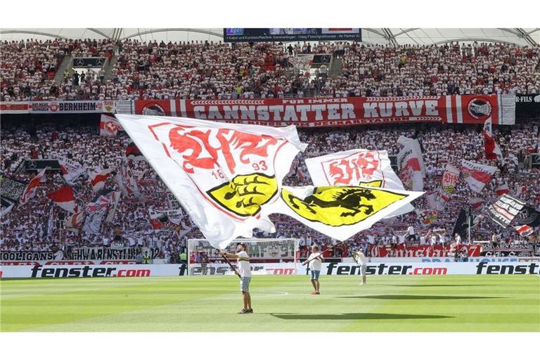 Der VfB empfängt am Mittwoch Viking Stavanger.