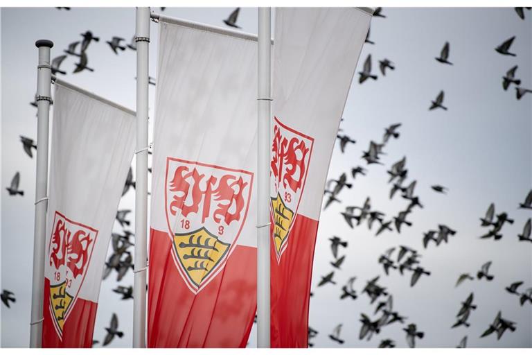 Der VfB Stuttgart II trifft am 27. Spieltag der 3. Liga auf Energie Cottbus.