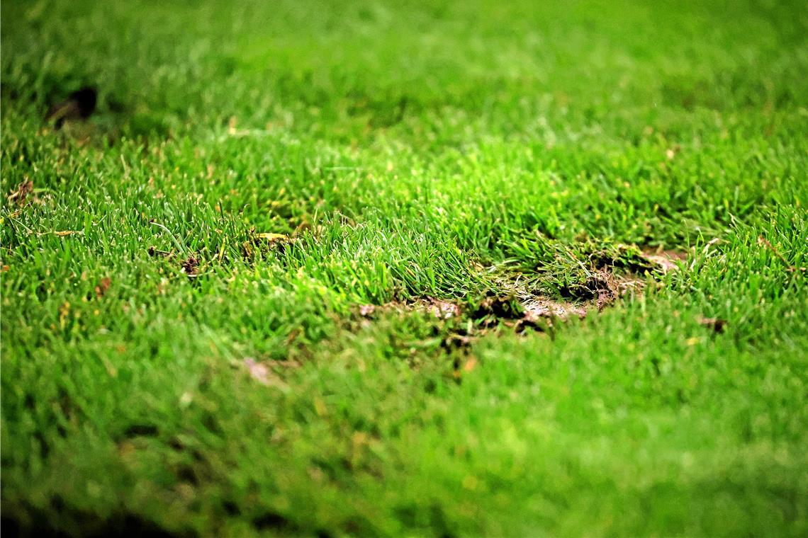 Der viele Regen hat den Platz im Fautenhau aufgeweicht. Deshalb wird nichts aus dem für Sonntag geplanten Heimspiel des Regionalliga-Zweiten gegen die U23 des SC Freiburg. Archivfoto: Tobias Sellmaier