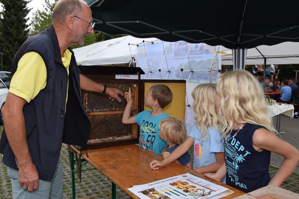 Der Vorsitzende des Bezirksbienenzüchtervereins Murrhardt Rudolf Hofmann zeigt den Kindern die mit einem gelben Punkt markierte Königin des Bienenvolks im Schaukasten. Foto: Elisabeth Klaper