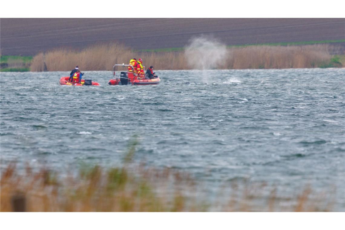 Der Wal ist am Morgen losgeschwommen.