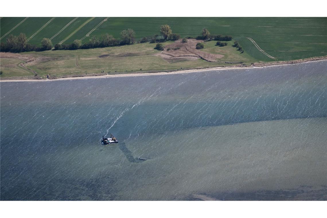 Der Wal liegt nun schon viele Wochen in Flachwasser-Bereichen.