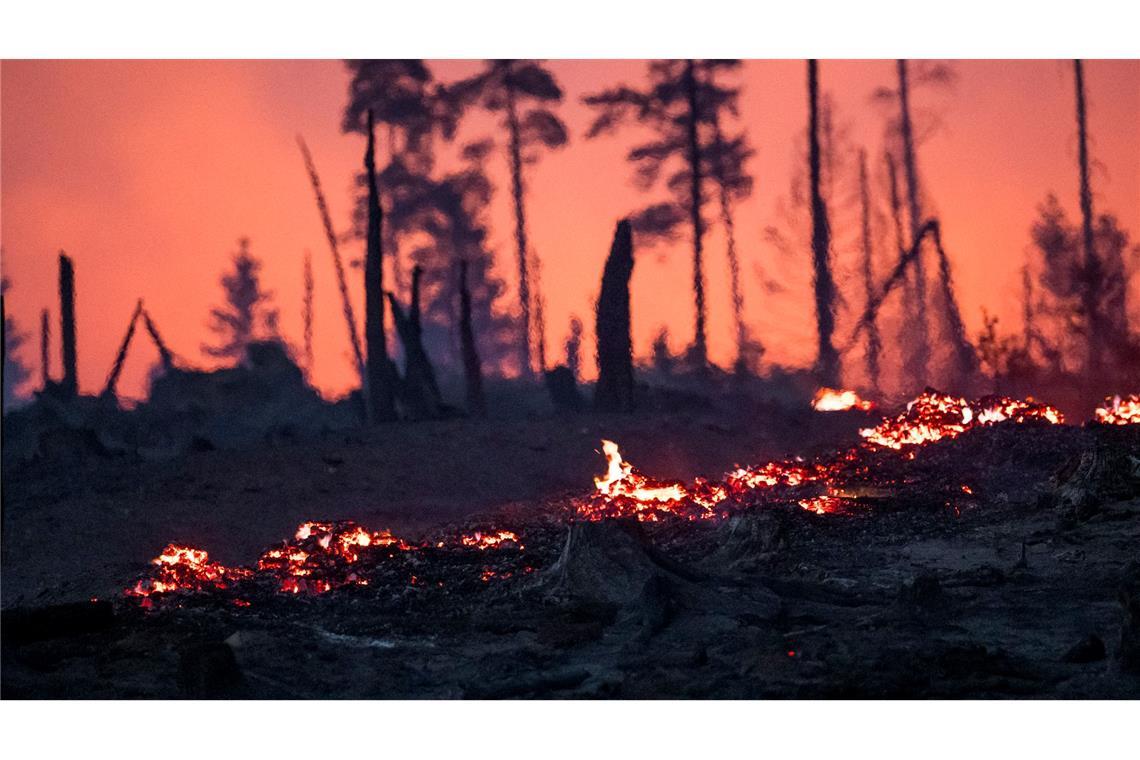 Bilder des Tages Der Waldboden brennt in einem Waldstück der Saalfelder Höhe.
