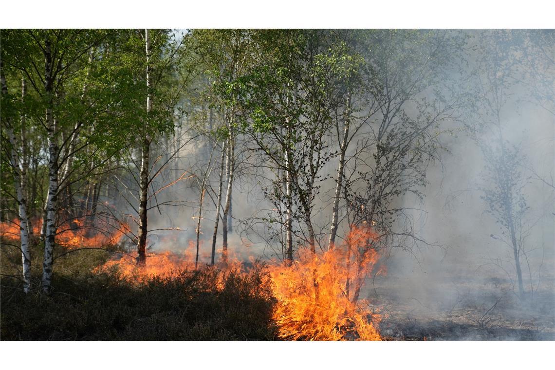 Der Waldbrand in Jüterbog in Brandenburg breitet sich aus