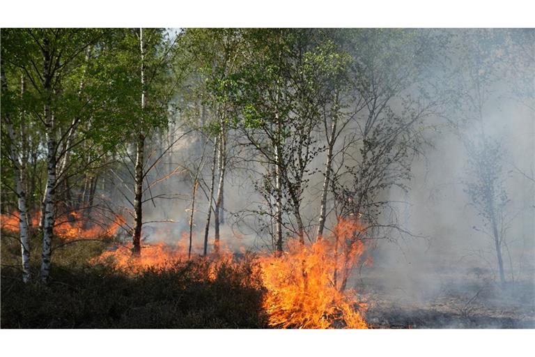 Der Waldbrand in Jüterbog in Brandenburg breitet sich aus