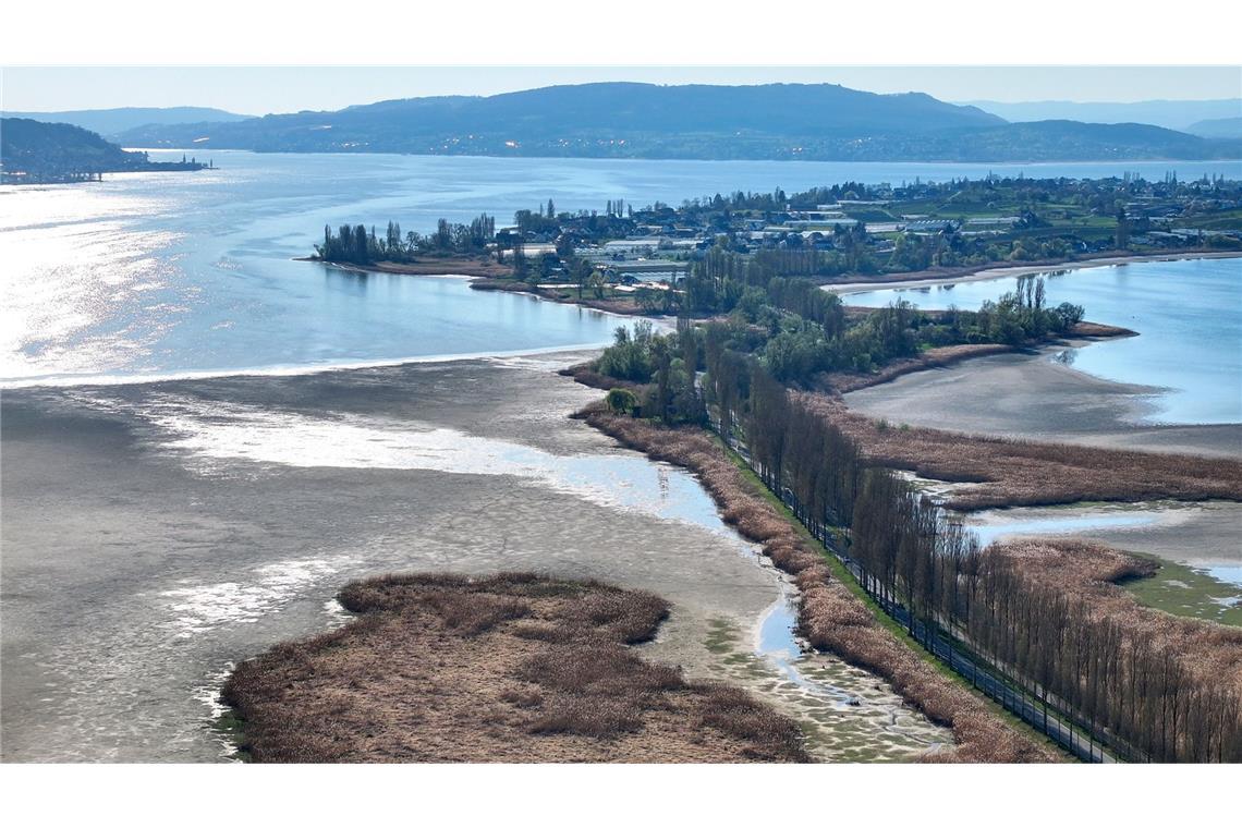 Wie sich Niedrigwasser auf den Bodensee auswirkt Der Wasserstand des Bodensees ist auf einem niedrigen Stand. Rund um die Insel Reichenau wird das deutlich, hier beim Wollmatinger Ried.