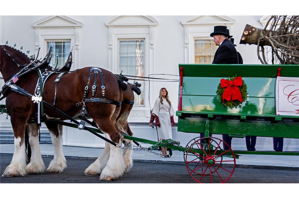 Der Weihnachtsbaum kommt im Weißen Haus an.